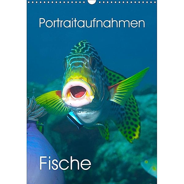 Portraitaufnahmen - Fische (Wandkalender 2021 DIN A3 hoch), Ute Niemann