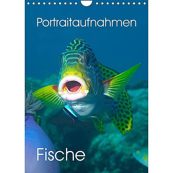 Portraitaufnahmen - Fische (Wandkalender 2023 DIN A4 hoch), Ute Niemann