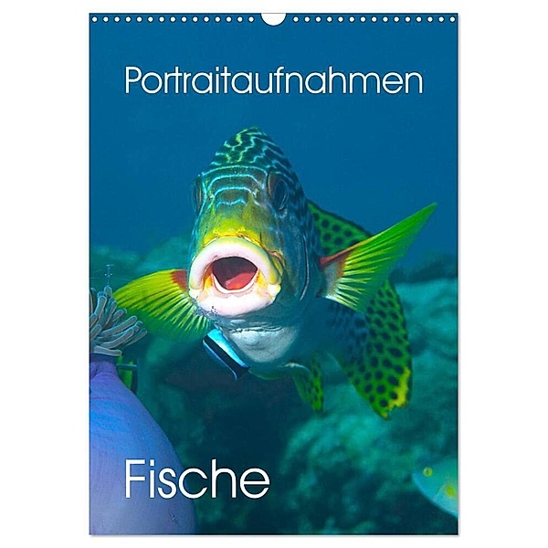 Portraitaufnahmen - Fische (Wandkalender 2024 DIN A3 hoch), CALVENDO Monatskalender, Ute Niemann