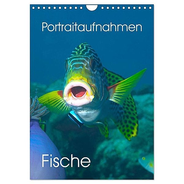 Portraitaufnahmen - Fische (Wandkalender 2024 DIN A4 hoch), CALVENDO Monatskalender, Ute Niemann