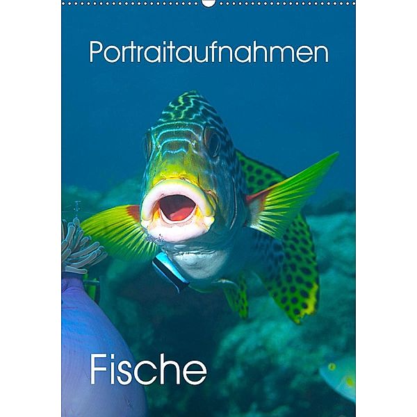 Portraitaufnahmen - Fische(Premium, hochwertiger DIN A2 Wandkalender 2020, Kunstdruck in Hochglanz), Ute Niemann
