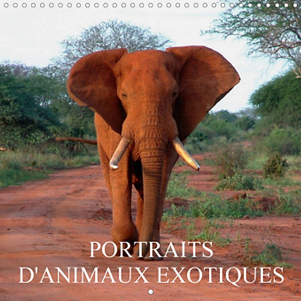 Portraits d'animaux exotiques (Calendrier mural 2021 300 × 300 mm Square), Rudolf Blank