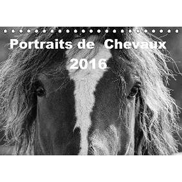 Portraits de Chevaux 2016 (Tischkalender 2016 DIN A5 quer), vdp-fotokunst