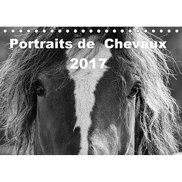 Portraits de Chevaux 2017 (Tischkalender 2017 DIN A5 quer), vdp-fotokunst.de