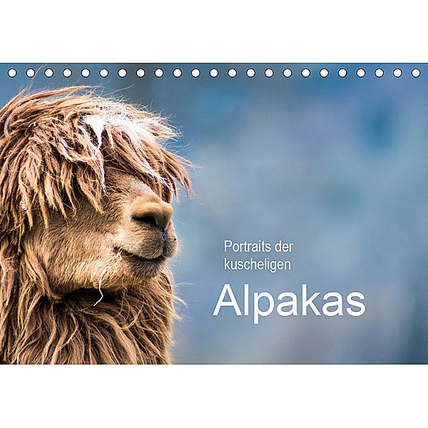 Portraits der kuscheligen Alpakas (Tischkalender 2019 DIN A5 quer), Bianca Mentil