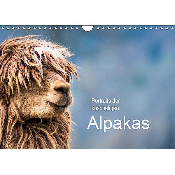 Portraits der kuscheligen Alpakas (Wandkalender 2019 DIN A4 quer), Bianca Mentil