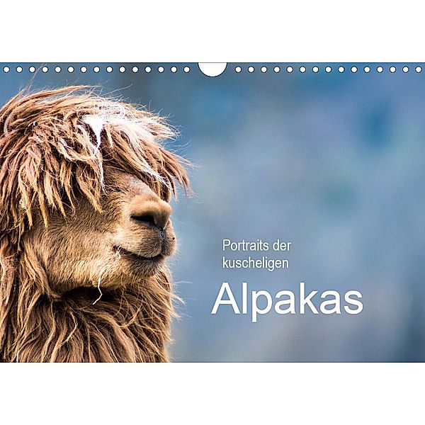Portraits der kuscheligen Alpakas (Wandkalender 2021 DIN A4 quer), Bianca Mentil