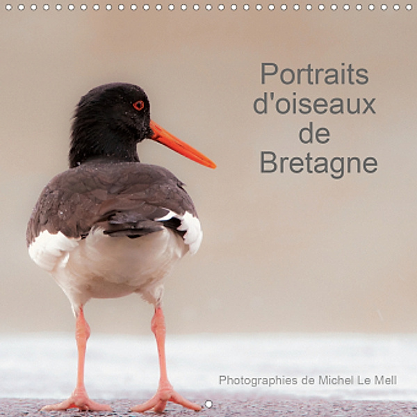 Portraits d'oiseaux de Bretagne (Calendrier mural 2021 300 × 300 mm Square), Michel Le Mell