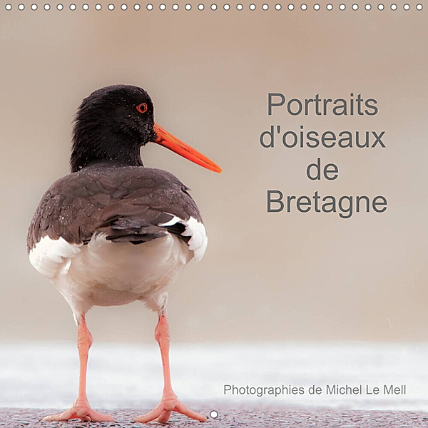 Portraits d'oiseaux de Bretagne (Calendrier mural 2023 300 × 300 mm Square), Michel Le Mell