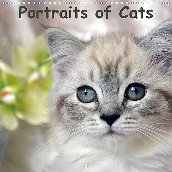 Portraits of Cats (Wall Calendar 2023 300 × 300 mm Square), Jennifer Chrystal