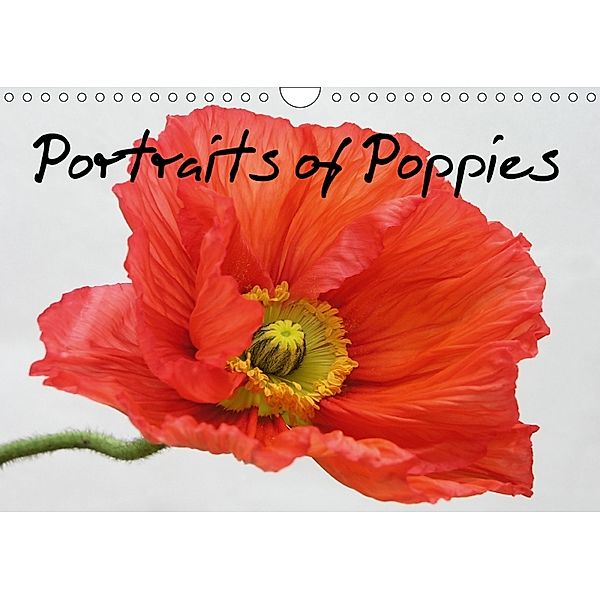 Portraits of Poppies (Wall Calendar 2018 DIN A4 Landscape), Gisela Kruse