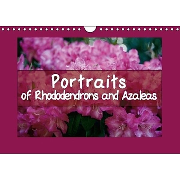 Portraits of Rhododendrons and Azaleas (Wall Calendar 2017 DIN A4 Landscape), Gisela Kruse