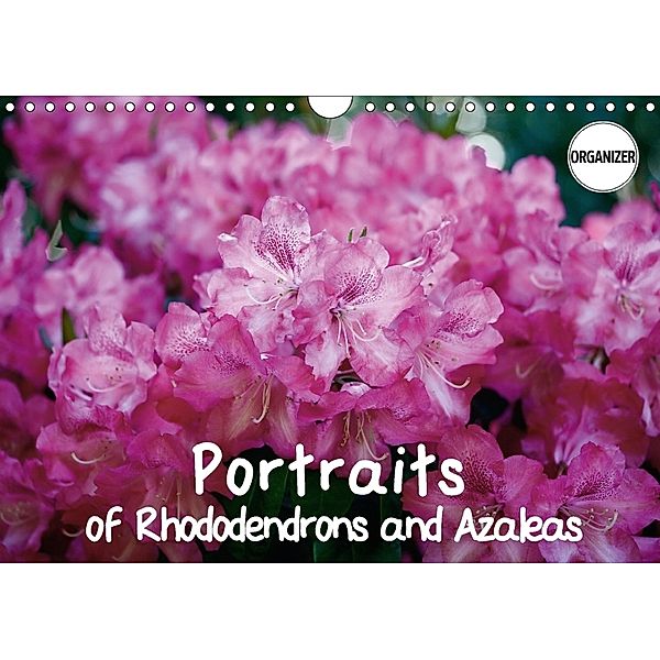 Portraits of Rhododendrons and Azaleas (Wall Calendar 2018 DIN A4 Landscape), Gisela Kruse