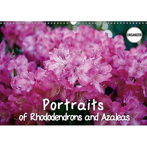 Portraits of Rhododendrons and Azaleas (Wall Calendar 2018 DIN A3 Landscape), Gisela Kruse
