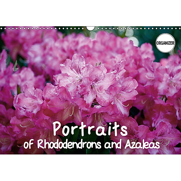 Portraits of Rhododendrons and Azaleas (Wall Calendar 2019 DIN A3 Landscape), Gisela Kruse