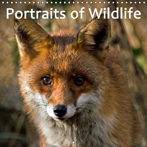 Portraits of Wildlife (Wall Calendar 2017 300 × 300 mm Square), Mart R Porter