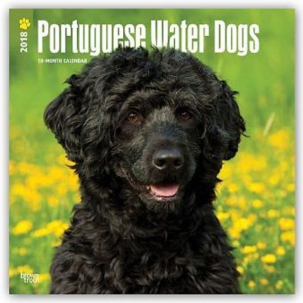 Portuguese Water Dogs - Portugiesischer Wasserhund 2018 - 18-Monatskalender mit freier DogDays-App, BrownTrout Publisher