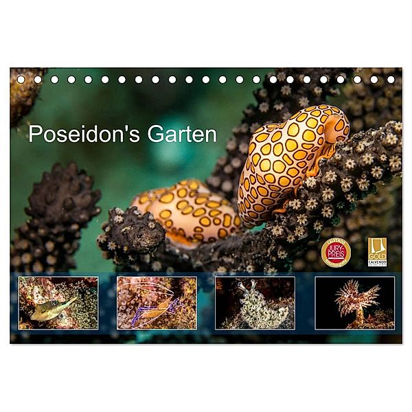 Poseidon's Garten (Tischkalender 2024 DIN A5 quer), CALVENDO Monatskalender, Yvonne & Tilo Kühnast - NaturePicsFilms