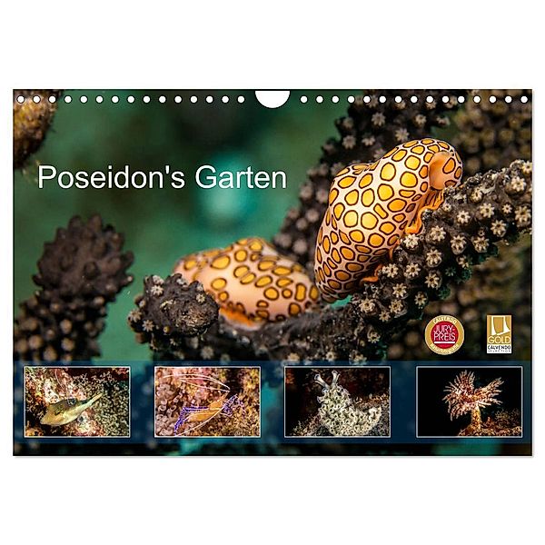 Poseidon's Garten (Wandkalender 2024 DIN A4 quer), CALVENDO Monatskalender, Yvonne & Tilo Kühnast - NaturePicsFilms