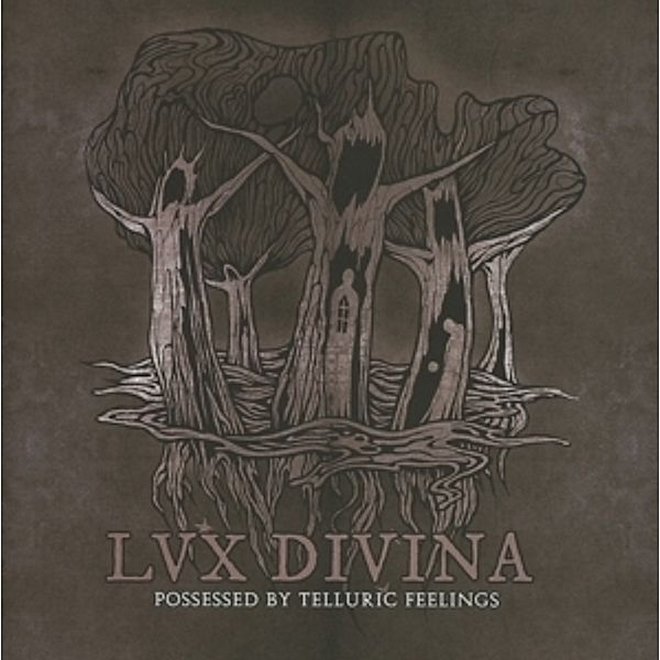 Possessed By Telluric Feelings, Lux Divina