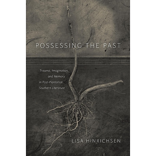 Possessing the Past / Southern Literary Studies, Lisa Hinrichsen