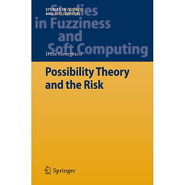 Possibility Theory and the Risk, Irina Georgescu