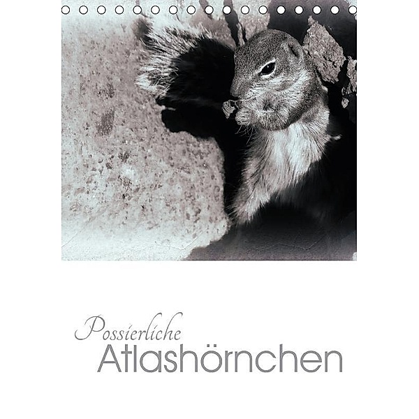 Possierliche Atlashörnchen (Tischkalender 2017 DIN A5 hoch), Lucy M. Laube