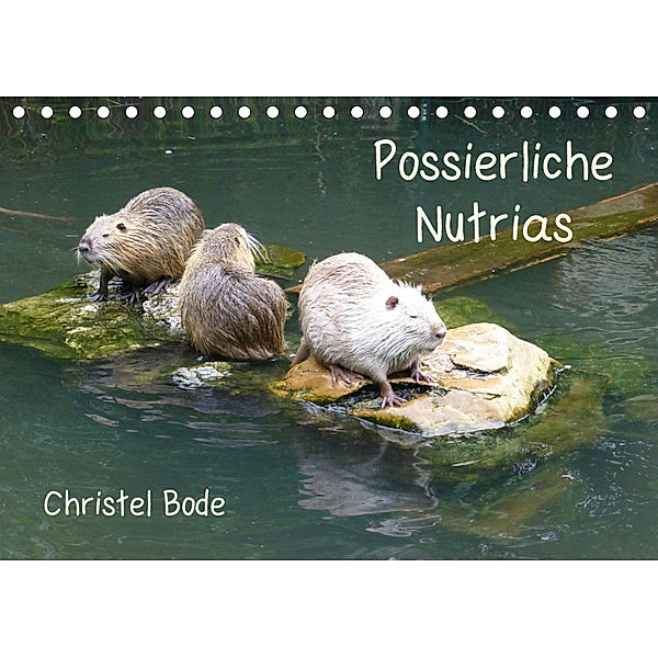 Possierliche Nutrias (Tischkalender 2019 DIN A5 quer), Christel Bode