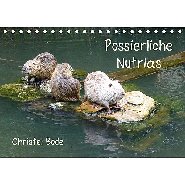 Possierliche Nutrias (Tischkalender 2021 DIN A5 quer), Christel Bode