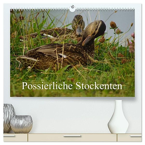 Possierliche Stockenten (hochwertiger Premium Wandkalender 2024 DIN A2 quer), Kunstdruck in Hochglanz, Babett Paul - Babett's Bildergalerie