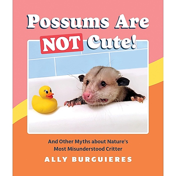 Possums Are Not Cute!, Ally Burguieres