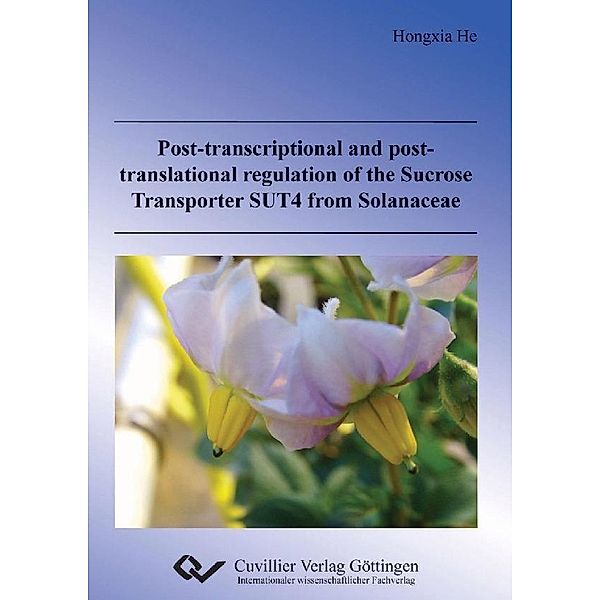 Post-transcriptional and post-translational regulation of the Sucrose Transporter SUT4 from Solanaceae