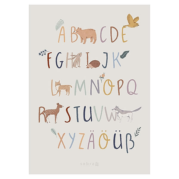 Sebra Poster NIGHTFALL - DEUTSCH ALPHABET (50x70)