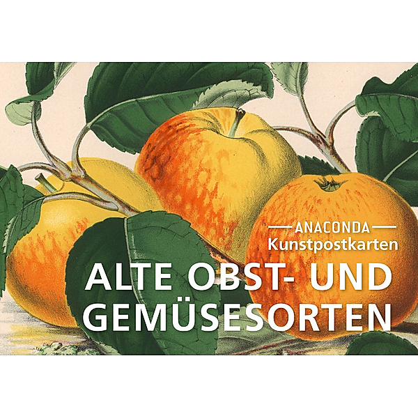Postkarten-Set Alte Obst- und Gemüsesorten