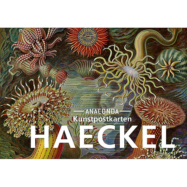 Postkarten-Set Ernst Haeckel