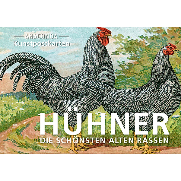 Postkarten-Set Hühner