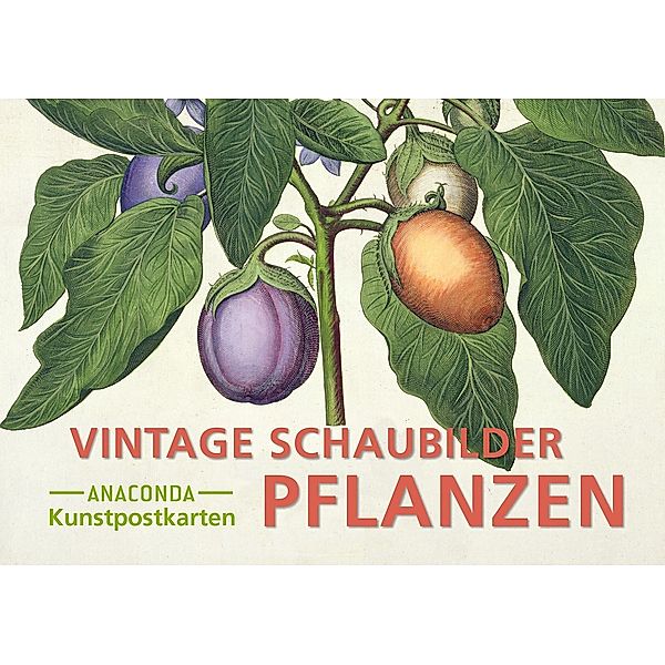 Postkarten-Set Vintage-Schaubilder Pflanzen