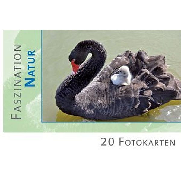 Postkartenbuch Faszination Natur