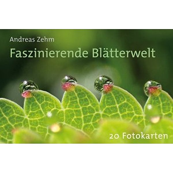 Postkartenbuch Faszinierende Blätterwelt, Andreas Zehm