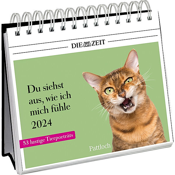 Postkartenkalender 2024: Du siehst aus, wie ich mich fühle, DIE ZEIT