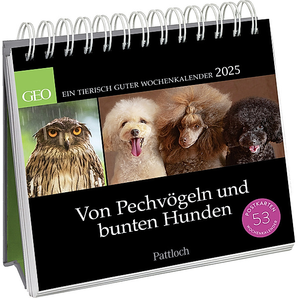 Postkartenkalender 2025: Von Pechvögeln und bunten Hunden, Geo
