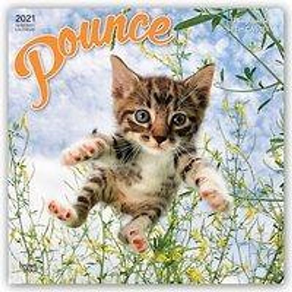 Pounce - Springende Katzen - Katzen beim Sprung 2021 - 16-Monatskalender, BrownTrout Publisher