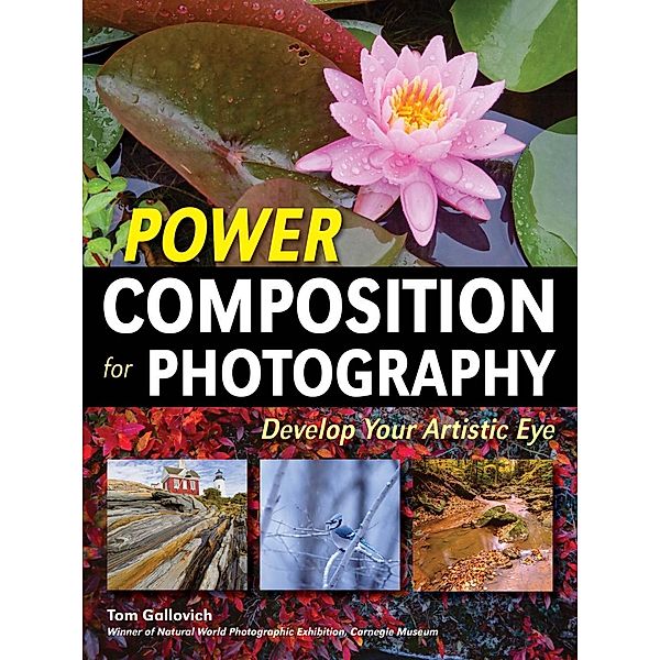 Power Composition for Photography, Tom Gallovich