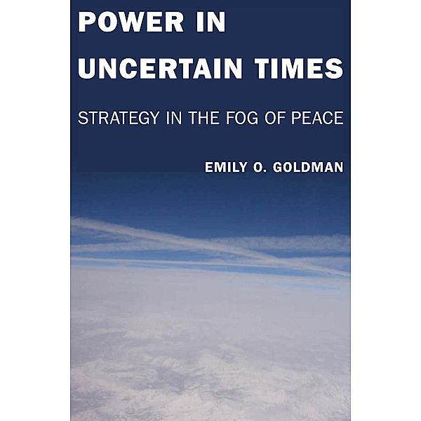 Power in Uncertain Times, Emily Goldman