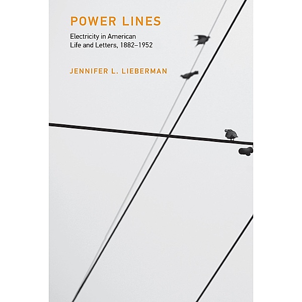 Power Lines / Inside Technology, Jennifer L. Lieberman