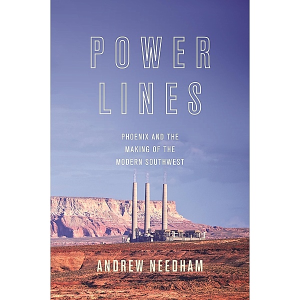 Power Lines / Politics and Society in Modern America, Andrew Needham
