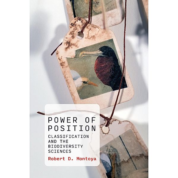 Power of Position / History and Foundations of Information Science, Robert D. Montoya