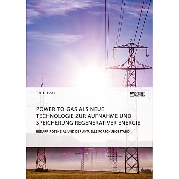 Power-to-Gas als neue Technologie zur Aufnahme und Speicherung regenerativer Energie. Bedarf, Potenzial und der aktuelle Forschungsstand, Julia Luger