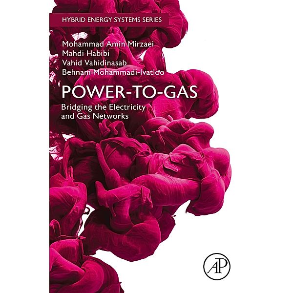 Power-to-Gas: Bridging the Electricity and Gas Networks, Mohammad Amin Mirzaei, Mahdi Habibi, Vahid Vahidinasab, Behnam Mohammadi-ivatloo