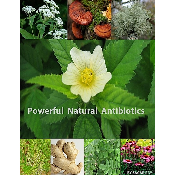 Powerful Natural Antibiotics, SAGAR RAY